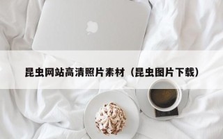 湖北昆虫网站高清照片素材（昆虫图片下载）